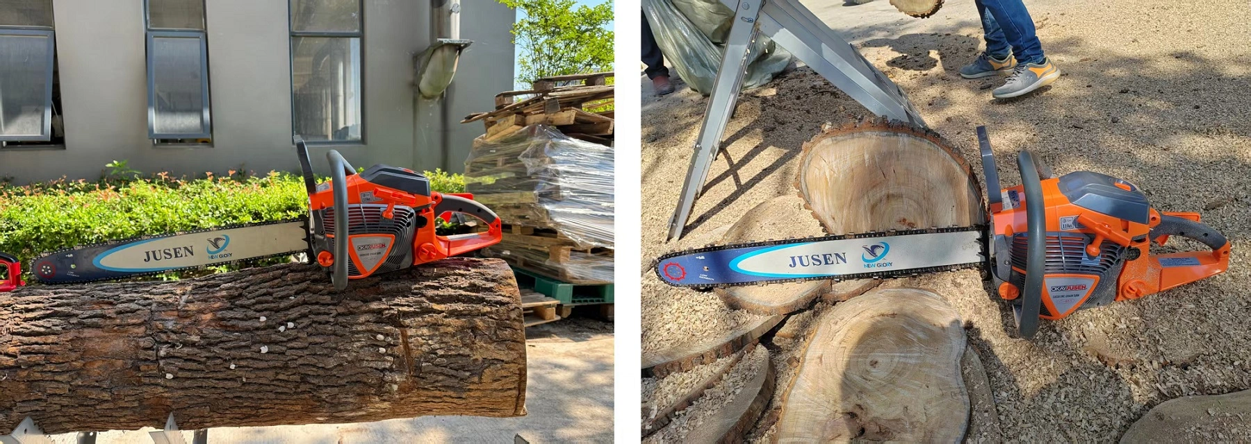 65cc Gas Powered Chainsaw -Applications