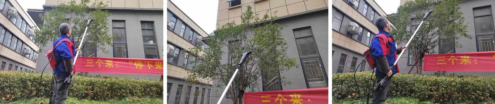 Hand Held Olive Harvester Machine - Applications Hand Held Olive Harvester Machine - Applications
