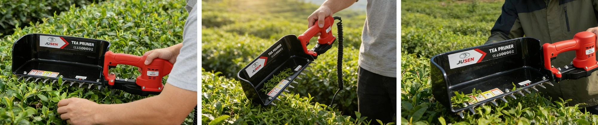 Professional Tea Leaf Picking Machine - Applications