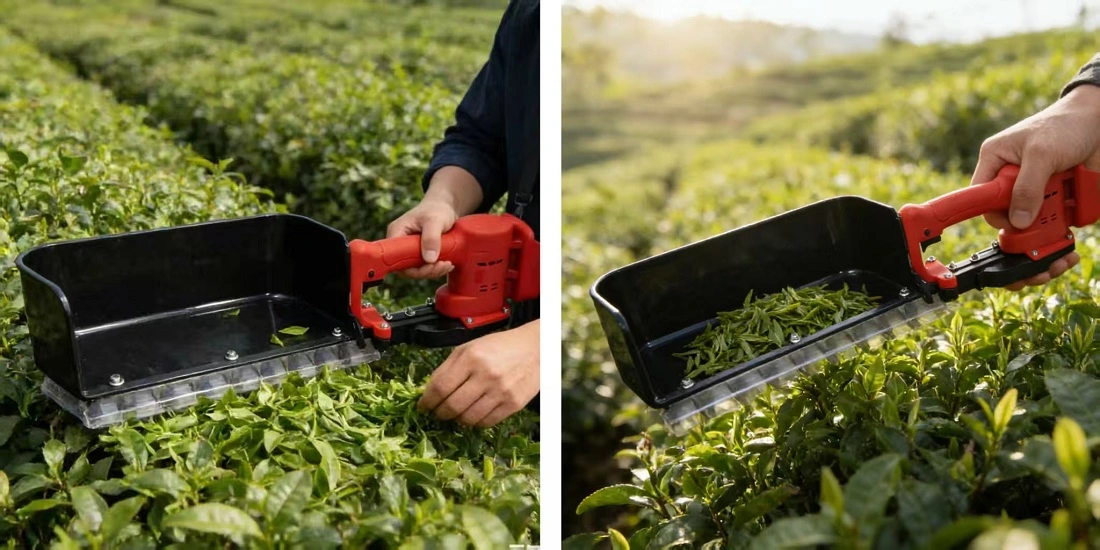 21v Lithium-Ion Brushless Hedge Trimmer-Applications