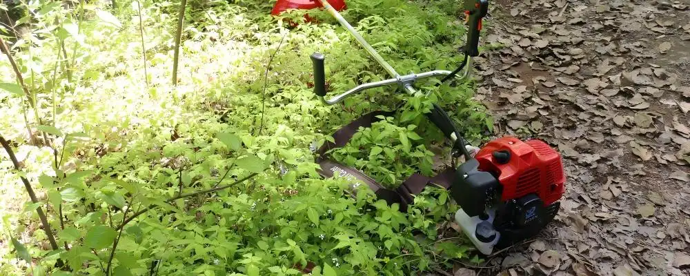 52cc petrol brush cutter 52cc petrol brush cutter