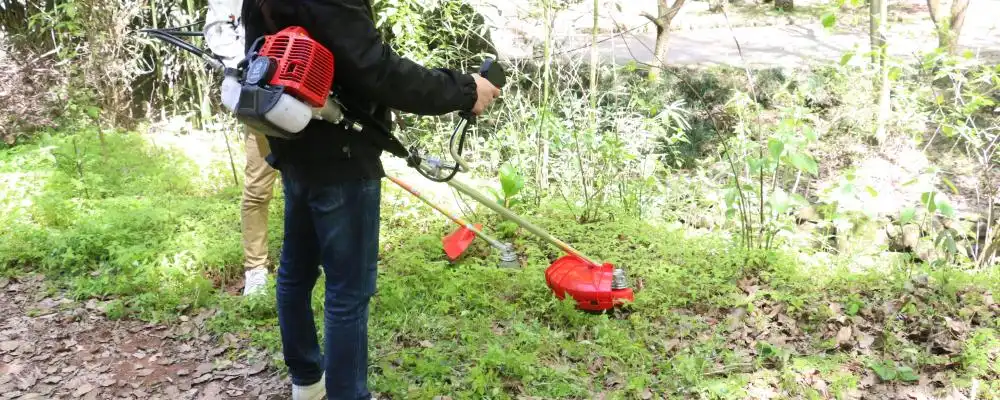 52cc Petrol Brush Cutter 52cc Petrol Brush Cutter