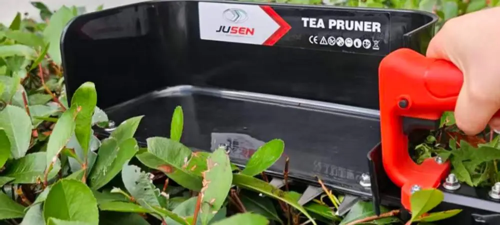 Tea Leaf Picking Machine