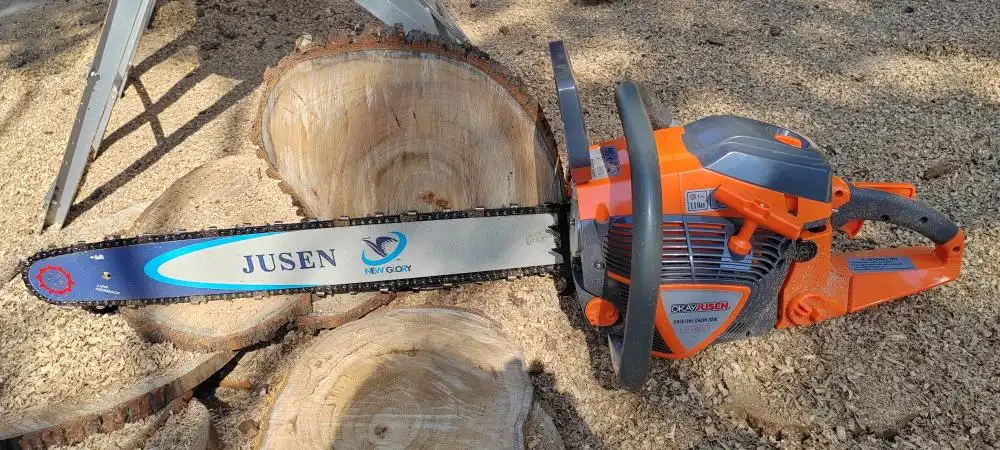 65cc Gas Powered Chainsaw