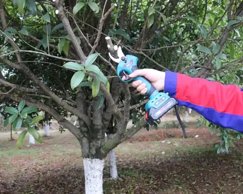 Why Are Gardeners Switching to Electric Pruning Shears Cordless?