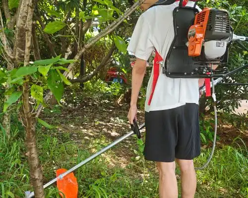 What Makes Electric Start Gasoline Brush Cutters Better Than Manual?